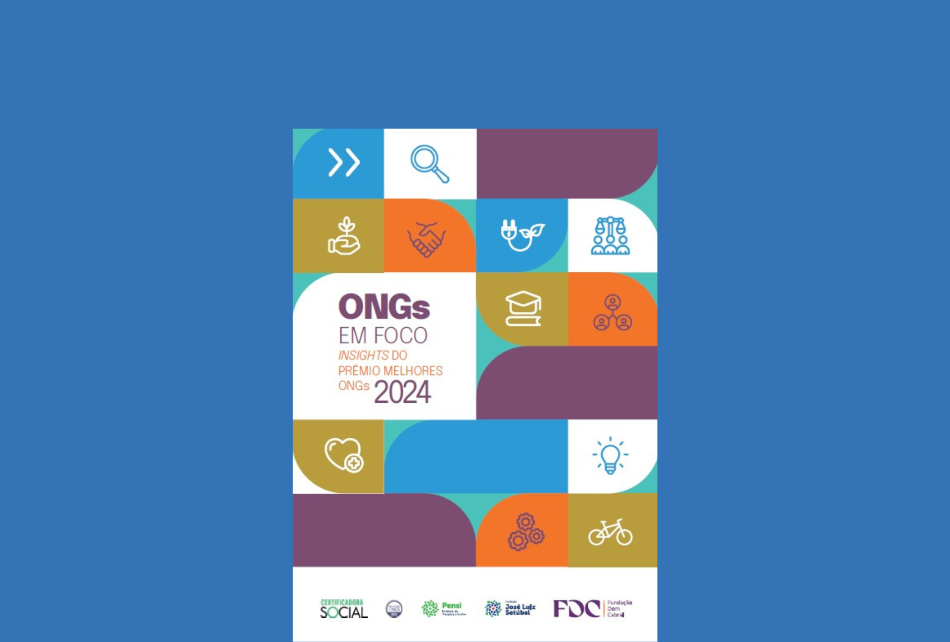 ONGs em Foco - Insights do Prêmio Melhores ONGs 2024