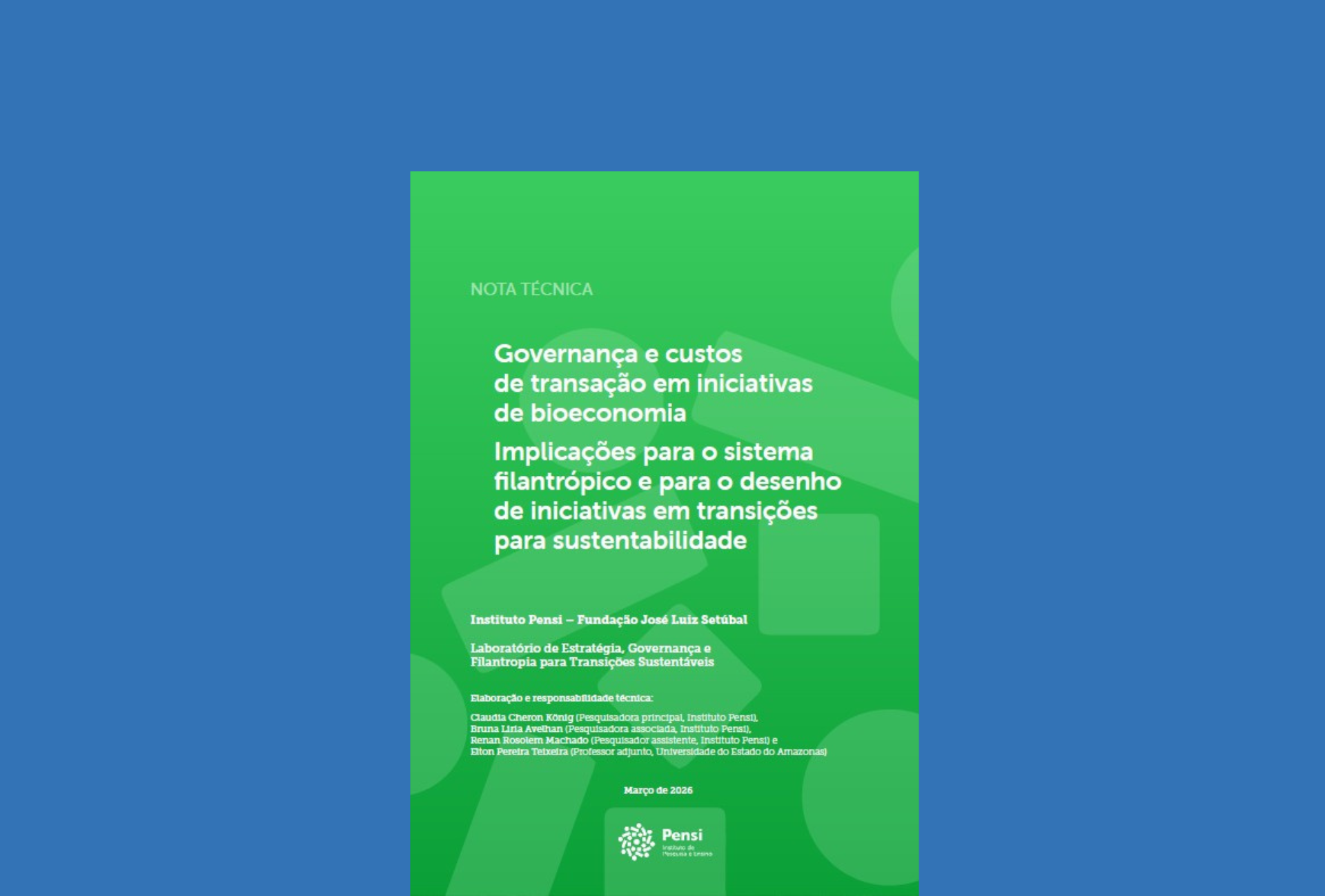Governança e custos de transação em iniciativas de bioeconomia (nota técnica 2)